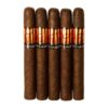 ACID Gold Toast 6x50 Maduro hộp 24