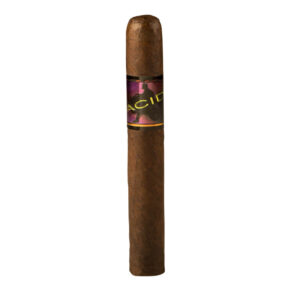 ACID Purple Plush 5.5x50 Maduro hộp 24