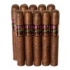 ACID Purple Plush 5.5x50 Maduro hộp 24