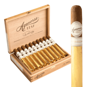 Aganorsa Signature Selection Toro 6x52 EMS hộp 20