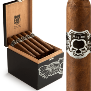Asylum Nyctophilia 5X50 5x50 Maduro hộp 25