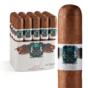 Asylum Schizo 6x60 6x60 EMS bó 20