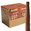 Avanti Bourbon 4.5x34 Maduro 10 gói 5 50 điếu
