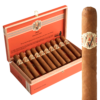 Avo XO Intermezzo Tubo 5x50 EMS hộp 20