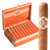 Avo XO Notturno Tubo 5x42 EMS hộp 20