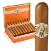 Avo XO Preludio 6x40 EMS hộp 20
