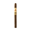 Bellas Artes by AJ Fernandez Lancero Maduro 7x38 Maduro hộp 10