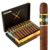 CAO BX3 Gordo 6x60 EMS hộp 20