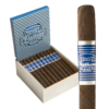 CAO Flathead V642 Piston 6.5x42 Maduro hộp 30