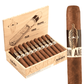 CAO Pilon Anejo Robusto 5.5x54 EMS hộp 20