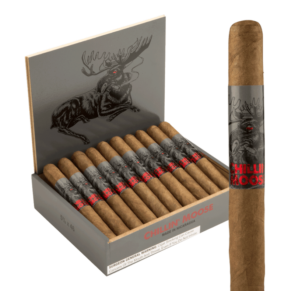 Chillin' Moose Corona 5.65x46 Natural hộp 20