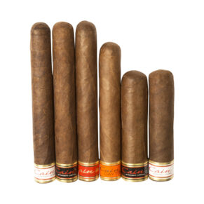 Cigar Samplers Oliva Mixed Collection #1 gói 6