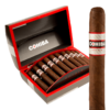 Cohiba Royale Robusto Royale 5.5x54 Maduro hộp 10