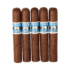 Crux Bull & Bear Robusto 5.5x55 EMS gói 5