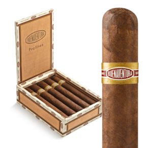 Curivari Buenaventura Pralines P554 5x54 Maduro hộp 10