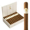 Davidoff Winston Churchill Petit Corona 4.5x41 EMS hộp 20
