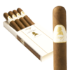 Davidoff Winston Churchill Robusto 5.25x52 EMS hộp 20
