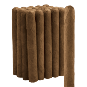 Dominican Overruns Sumatra Toro 6x50 EMS bó 20