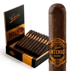 Gispert Intenso Corona 5x44 Maduro hộp 20