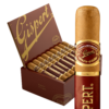 Gispert Robusto 5x54 Natural hộp gỗ tuyết tùng 25