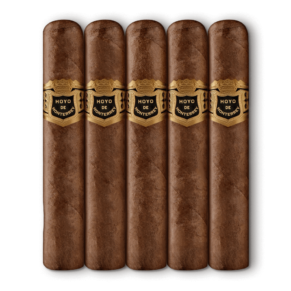 Hoyo de Monterrey Rothschild 4.5x50 EMS điếu lẻ