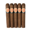 HVC Serie A Canones 5.5x54 EMS hộp 10