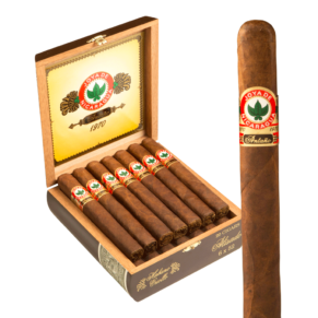 Joya de Nicaragua 1970 Antano Alisado 6x52 EMS hộp gỗ tuyết tùng 20