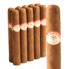 Lost and Found La Whatever Toro 6x54 EMS bó 10