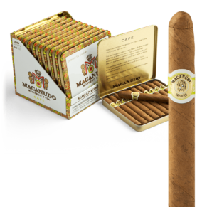 Macanudo Ascot Tin 4.25x32 Natural hộp thiếc 10