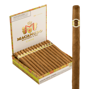 Macanudo Claybourne 6x31 Natural hộp 25