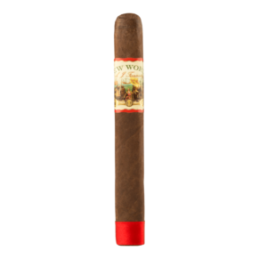 New World by AJ Fernandez Gobernador Toro 6.5x55 EMS hộp 21