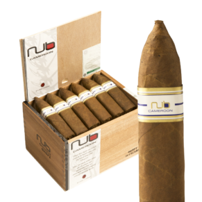 Nub 466 Cameroon BP Torpedo 4x66 EMS hộp 24