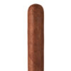 Oliva Cain 550 Habano 5.75x50 EMS hộp 24