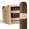 Oliva Cain 660 Maduro 6x60 Maduro hộp 24