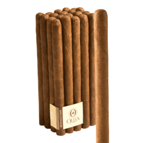 Oliva Seconds Lot CF Lancero 7x38 EMS bó 20