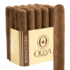 Oliva Seconds Lot SO Robusto 5x50 EMS bó 20