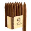 Oliva Seconds Lot SO Torpedo 6.5x52 EMS bó 20
