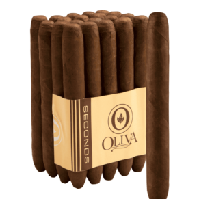 Oliva Seconds Lot SV Corona 5.75x46 EMS bó 20