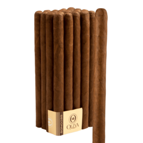 Oliva Seconds Lot SV Lancero 7x38 EMS bó 20