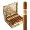 Oscar Valladares Wild Hunter Toro 6x52 EMS hộp 20