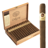 Padron 1964 Anniversary Series Diplomatico Maduro 7x50 Maduro hộp 25