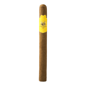 Partagas No. 10 7.5x49 EMS hộp 10