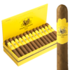 Partagas Robusto 4.5x49 EMS hộp 25