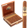 Punch Golden Era Churchill 7x48 Natural hộp 20