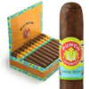Punch Gran Puro Nicaragua Petite Robusto 4.88x48 EMS hộp 20