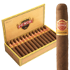 Punch Gran Puro Rancho 5.5x54 EMS hộp 25