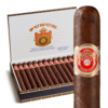 Punch London Club 5x40 Maduro hộp 25