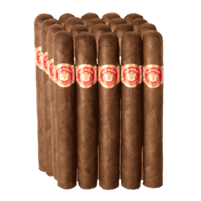 Punch Pita 6.12x50 Maduro hộp 25