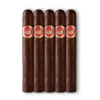 Punch Pita 6.12x50 Maduro hộp 25