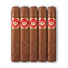 Punch Rothschild 4.5x50 EMS hộp 50